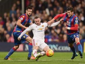 24-25赛季英超第11轮 水晶宫vs富勒姆,英超第11轮焦点对决！”